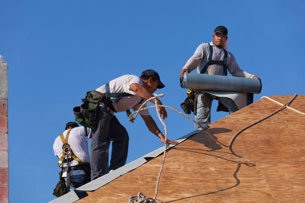 Best Roof Leak Repair  in Basye, VA