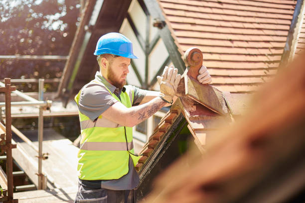 Best Roof Inspection Near Me  in Basye, VA