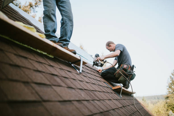 Best Roofing Contractor Near Me  in Basye, VA